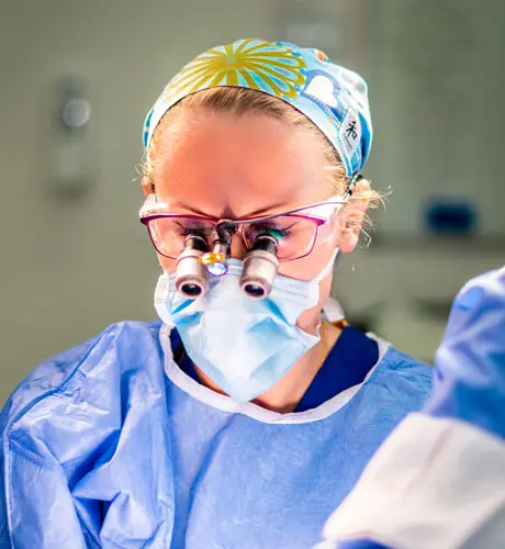 Elena Prousskaia - Experience